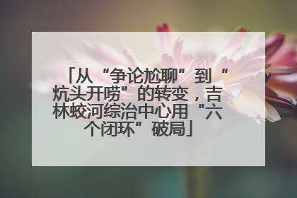 从“争论尬聊”到“炕头开唠”的转变，吉林蛟河综治中心用“六个闭环”破局