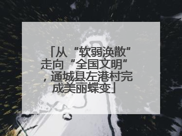 从“软弱涣散”走向“全国文明”，通城县左港村完成美丽蝶变