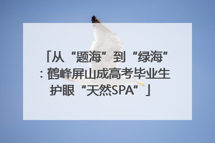 从“题海”到“绿海”：鹤峰屏山成高考毕业生护眼“天然SPA”