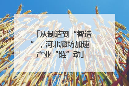 从制造到“智造”，河北廊坊加速产业“链”动