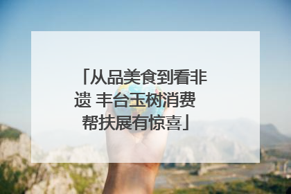 从品美食到看非遗 丰台玉树消费帮扶展有惊喜