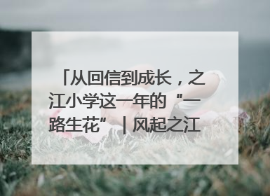 从回信到成长，之江小学这一年的“一路生花”｜风起之江 扶摇直上