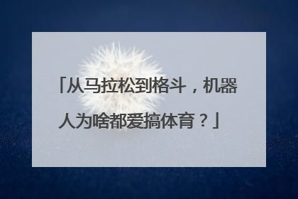 从马拉松到格斗，机器人为啥都爱搞体育？