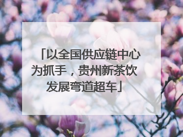 以全国供应链中心为抓手，贵州新茶饮发展弯道超车