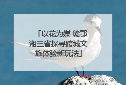 以花为媒 赣鄂湘三省探寻跨城文旅体验新玩法