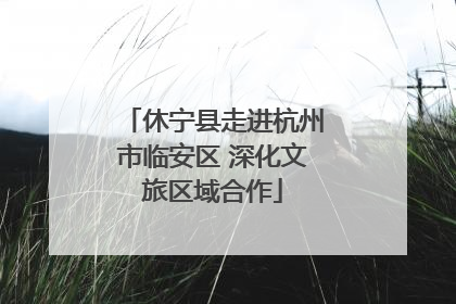 休宁县走进杭州市临安区 深化文旅区域合作