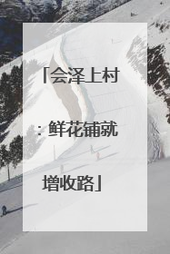 会泽上村：鲜花铺就增收路