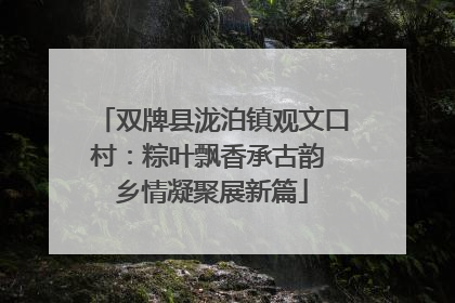 双牌县泷泊镇观文口村：粽叶飘香承古韵 乡情凝聚展新篇