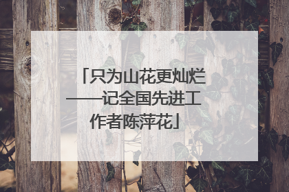 只为山花更灿烂——记全国先进工作者陈萍花