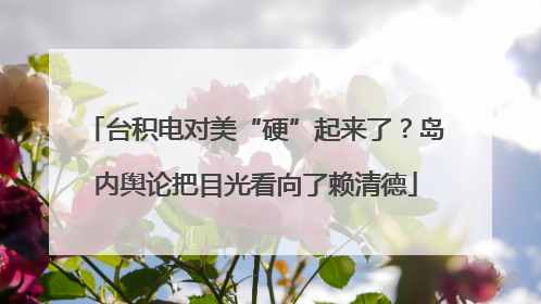 台积电对美“硬”起来了？岛内舆论把目光看向了赖清德