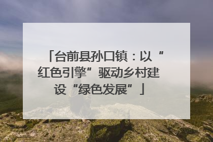 台前县孙口镇：以“红色引擎”驱动乡村建设“绿色发展”