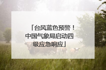 台风蓝色预警！中国气象局启动四级应急响应
