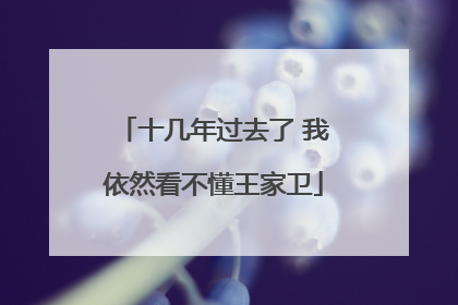 十几年过去了 我依然看不懂王家卫