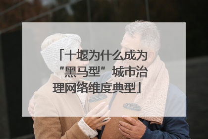 十堰为什么成为“黑马型”城市治理网络维度典型
