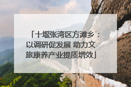 十堰张湾区方滩乡：以调研促发展 助力文旅康养产业提质增效