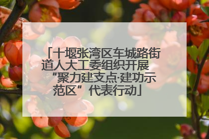 十堰张湾区车城路街道人大工委组织开展 “聚力建支点·建功示范区”代表行动