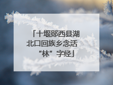 十堰郧西县湖北口回族乡念活“林”字经