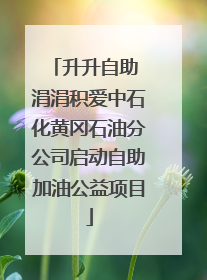 升升自助 涓涓积爱中石化黄冈石油分公司启动自助加油公益项目