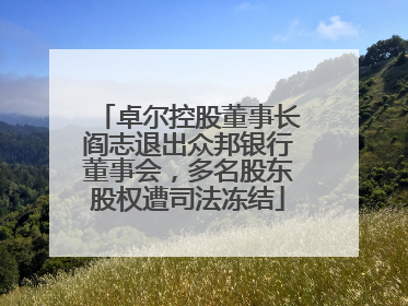 卓尔控股董事长阎志退出众邦银行董事会，多名股东股权遭司法冻结