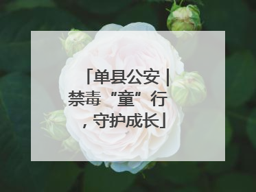 单县公安｜禁毒“童”行，守护成长