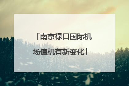 南京禄口国际机场值机有新变化