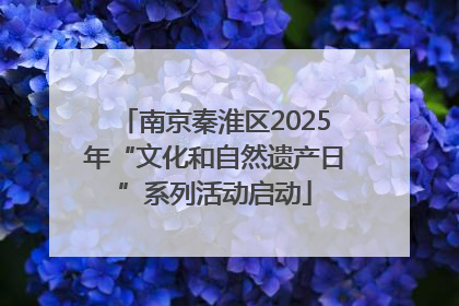 南京秦淮区2025年“文化和自然遗产日”系列活动启动