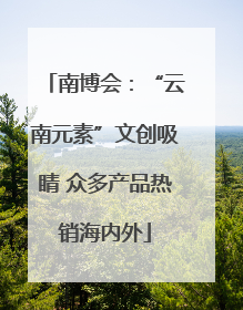 南博会：“云南元素”文创吸睛 众多产品热销海内外