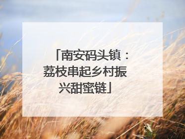 南安码头镇：荔枝串起乡村振兴甜蜜链