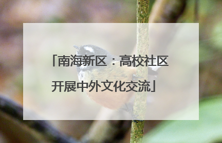 南海新区：高校社区开展中外文化交流