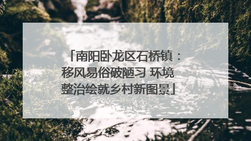 南阳卧龙区石桥镇：移风易俗破陋习 环境整治绘就乡村新图景
