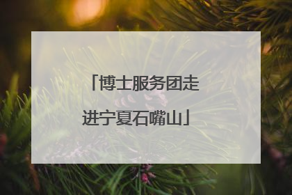 博士服务团走进宁夏石嘴山