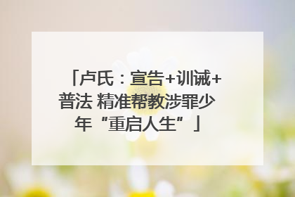 卢氏：宣告+训诫+普法 精准帮教涉罪少年“重启人生”