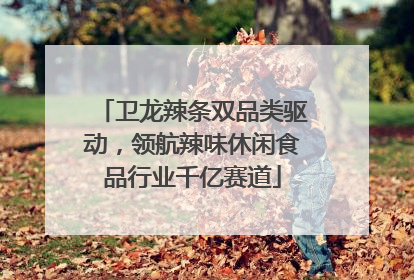 卫龙辣条双品类驱动，领航辣味休闲食品行业千亿赛道