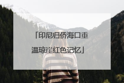 印尼归侨海口重温琼崖红色记忆