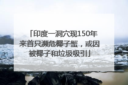 印度一洞穴现150年来首只濒危椰子蟹，或因被椰子和垃圾吸引