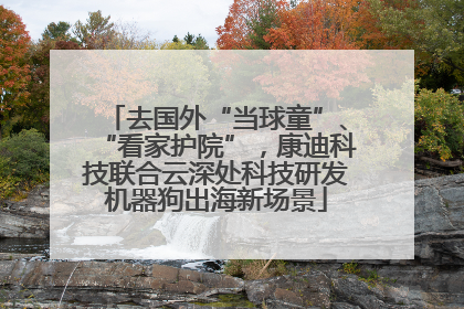 去国外“当球童”、“看家护院”，康迪科技联合云深处科技研发机器狗出海新场景