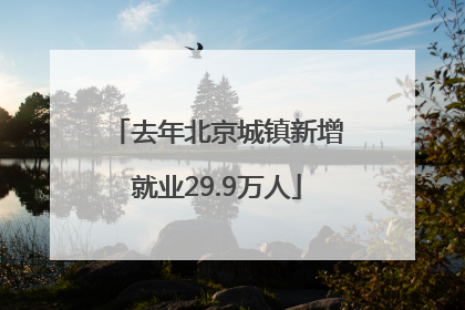 去年北京城镇新增就业29.9万人