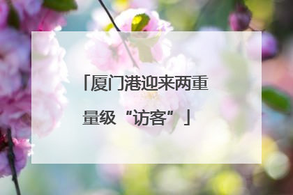 厦门港迎来两重量级“访客”