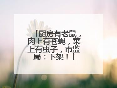 厨房有老鼠，肉上有苍蝇，菜上有虫子，市监局：下架！