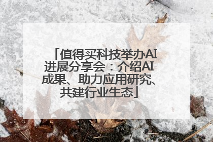 值得买科技举办AI进展分享会：介绍AI成果、助力应用研究、共建行业生态