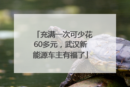 充满一次可少花60多元，武汉新能源车主有福了