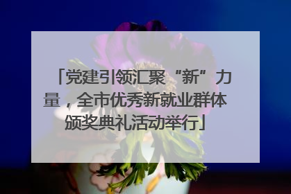 党建引领汇聚“新”力量，全市优秀新就业群体颁奖典礼活动举行