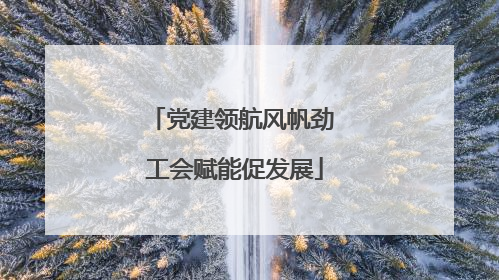 党建领航风帆劲 工会赋能促发展