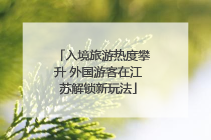 入境旅游热度攀升 外国游客在江苏解锁新玩法