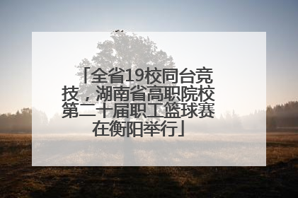 全省19校同台竞技，湖南省高职院校第二十届职工篮球赛在衡阳举行