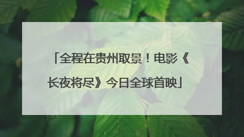 全程在贵州取景！电影《长夜将尽》今日全球首映