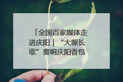 全国百家媒体走进庆阳｜“大塬长歌”奏响庆阳香包民俗文化节序曲