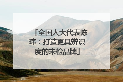 全国人大代表陈玮：打造更具辨识度的未检品牌