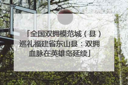 全国双拥模范城（县）巡礼福建省东山县：双拥血脉在英雄岛延续