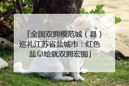全国双拥模范城（县）巡礼江苏省盐城市：红色盐阜绘就双拥宏图